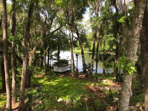 Bed & Breakfast Riverview Lounge
