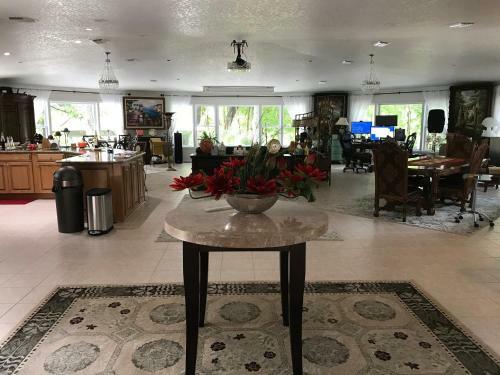Bed & Breakfast Riverview Lounge