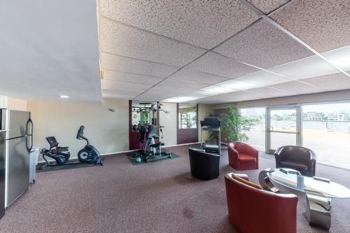 Harbor Haven 805