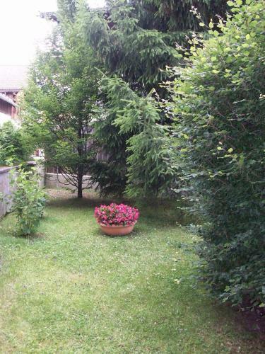 Apartamento Haus Fuchs