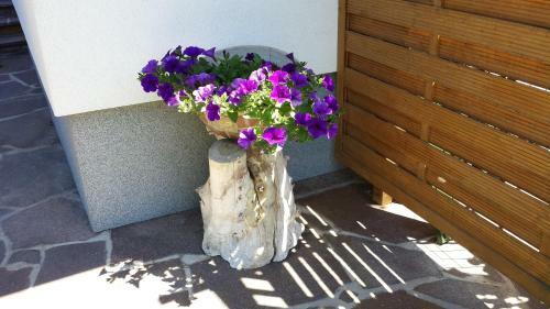 Apartamento Appartements Zugspitztraum