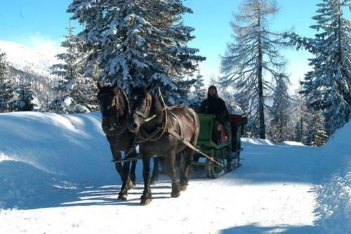 Hostal Pension Leitner