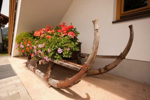 Bed & Breakfast Martlerhof