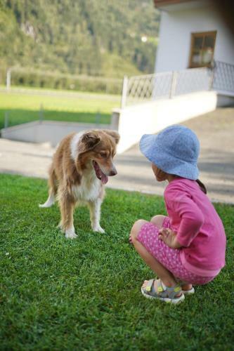 Bed & Breakfast Martlerhof