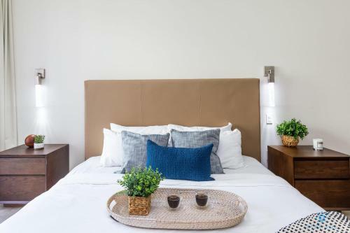 Beachfront Condo Rooftop Infinity Pool Studio