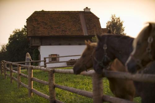 Ferienhaus Friedrich - Honigmond Im Troadkast�n