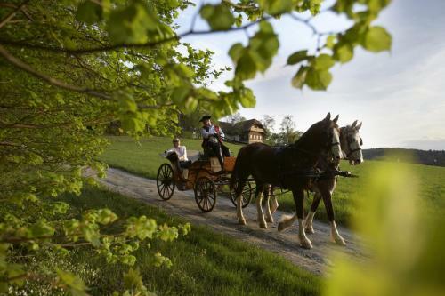 Ferienhaus Friedrich - Honigmond Im Troadkast�n