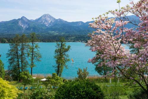 Apartments Am See