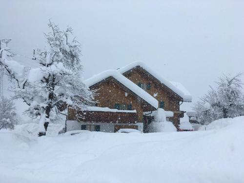 Apartamento Landhaus Dajana
