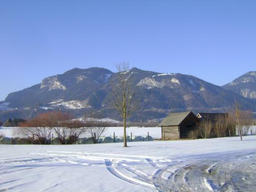 Apartamento Appartement Pichlarn