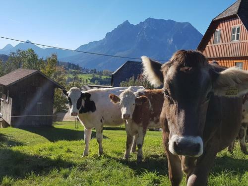 Agroturismo H�ttst�dterhof Familie P�tsch