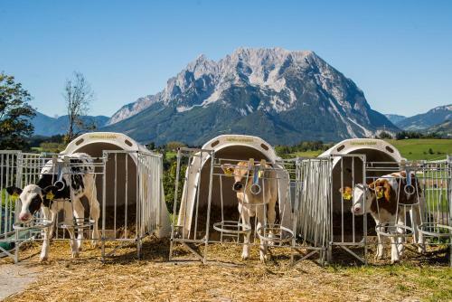 Agroturismo H�ttst�dterhof Familie P�tsch