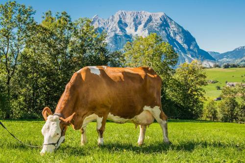 Agroturismo H�ttst�dterhof Familie P�tsch