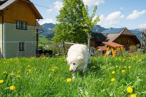 Agroturismo H�ttst�dterhof Familie P�tsch