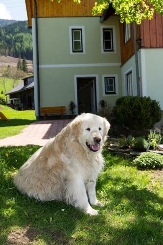 Agroturismo H�ttst�dterhof Familie P�tsch