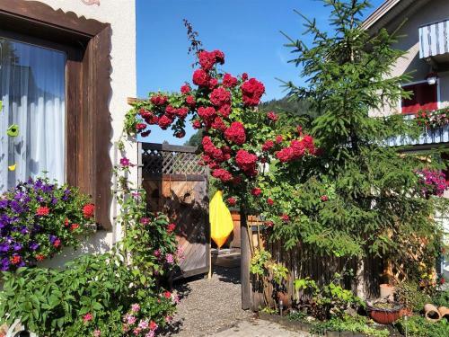 Bed & Breakfast G�stehaus Gitti Dorner