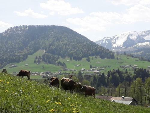 Agroturismo Haus Hagspiel