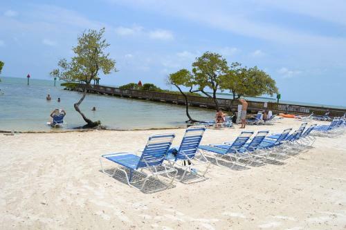 Licensed Mgr - Brand New Luxurious Oceanfront Condo! Bar And Beach Resort!