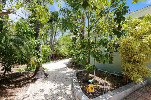 Rose Street Retreat