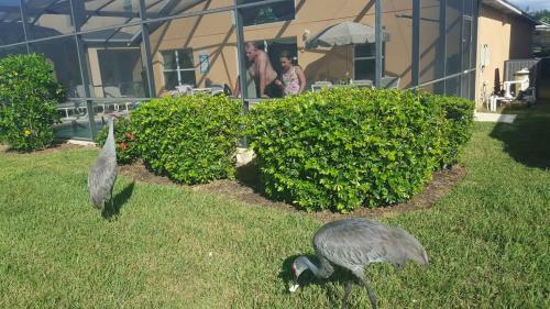 Villa Florida Jewels