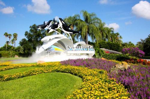 3041 Paradise Palms