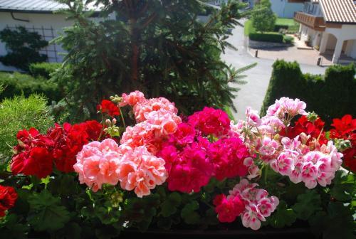 Hostal Pension Garni Christina
