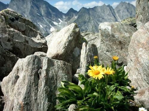 Hostal Pension Garni Christina