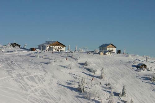Almchalet Feuerkogel