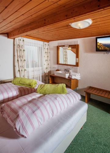 Hostal Berggasthof Edelweiss