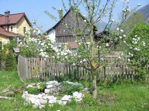 Apartamento Ferienwohnung Am Pflanzgarten