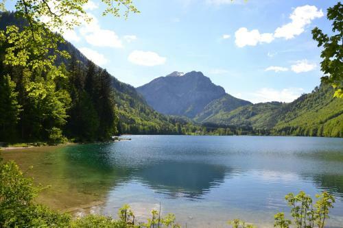 Hostal Gasthof Roitner