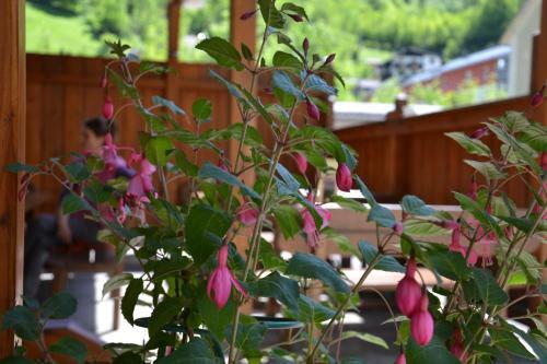 Hostal Gasthof Roitner