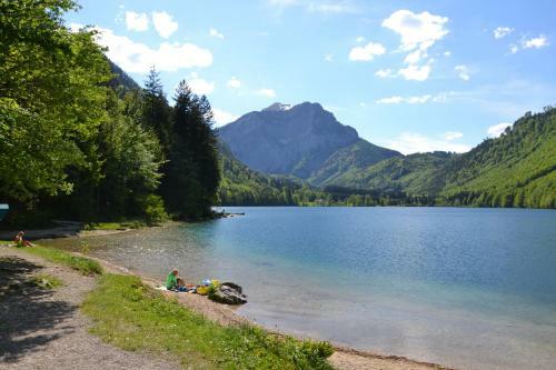 Hostal Gasthof Roitner