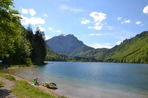 Hostal Gasthof Roitner