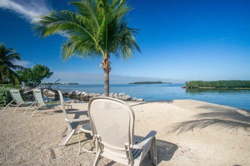 Palm Point 3 Bed 2bath Home With Open Water Views & Dockage