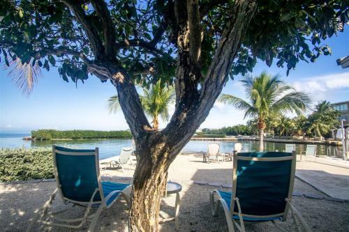 Palm Point 3 Bed 2bath Home With Open Water Views & Dockage