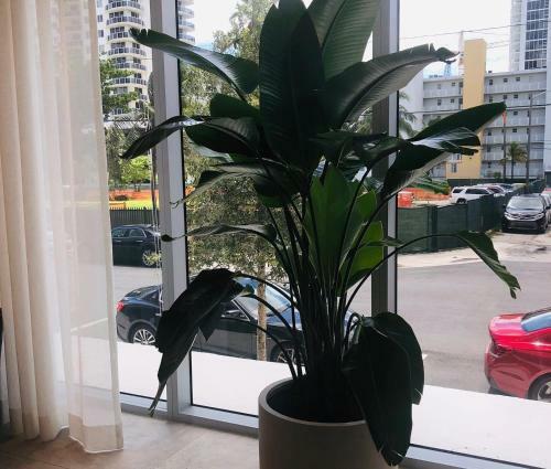 Apartamento Lugar Para Descansar