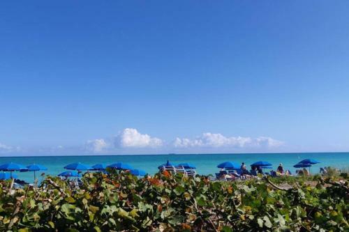 Apartamento Pretty Miami Beach Studio