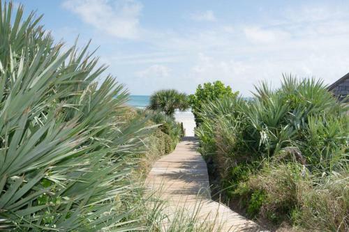 Sea Dunes By Ocean Properties