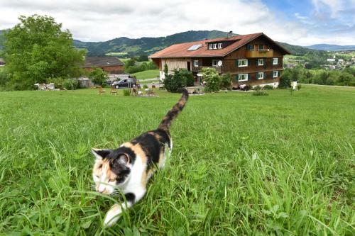 Bed & Breakfast Familienbauernhof K�ss