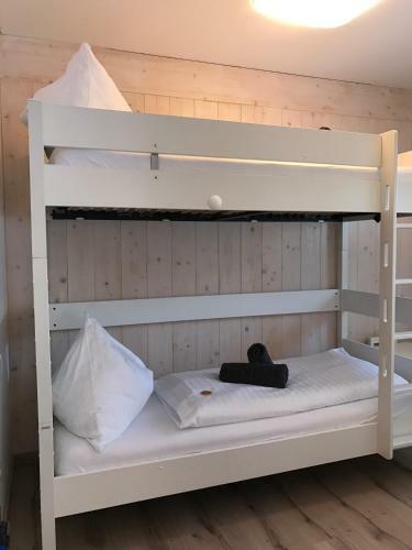 Designferienhaus Altenmarkt Zauchensee