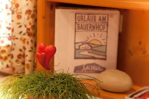 Agroturismo Romantische Appartements Sinnhubbauer