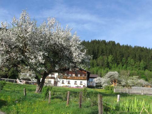 Agroturismo Romantische Appartements Sinnhubbauer