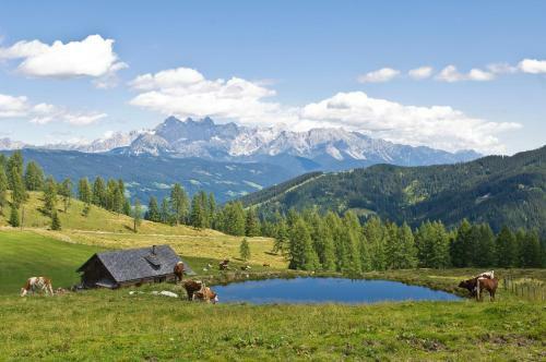 Agroturismo Romantische Appartements Sinnhubbauer