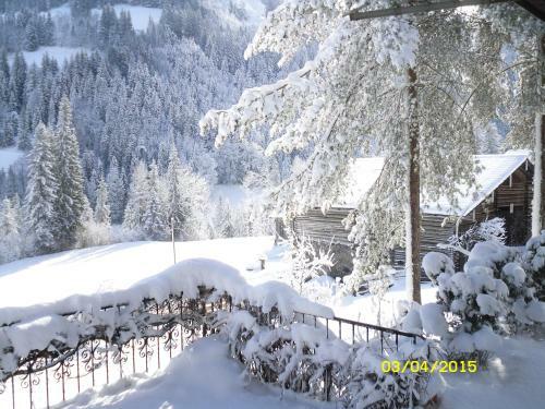 Bed & Breakfast Vorderwiesgut