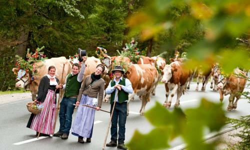 Bed & Breakfast Vorderwiesgut