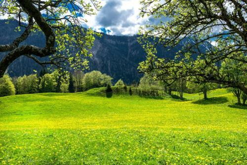 Apartamento "sch�n-urlauben"