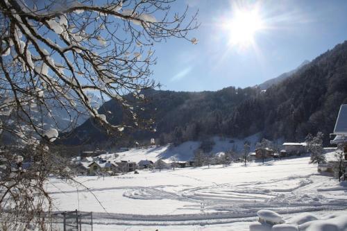 Apartamento Appartment Shelley