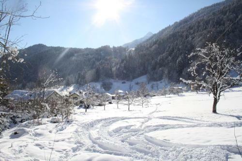 Apartamento Appartment Shelley