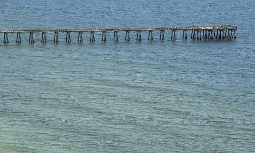 Tidewater 1103